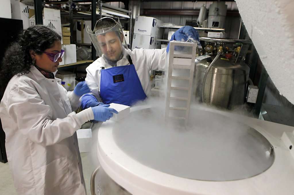 Científicos manipulando muestras congeladas con nitrógeno